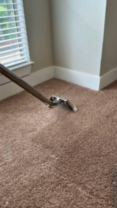 Carpet cleaning wand in action