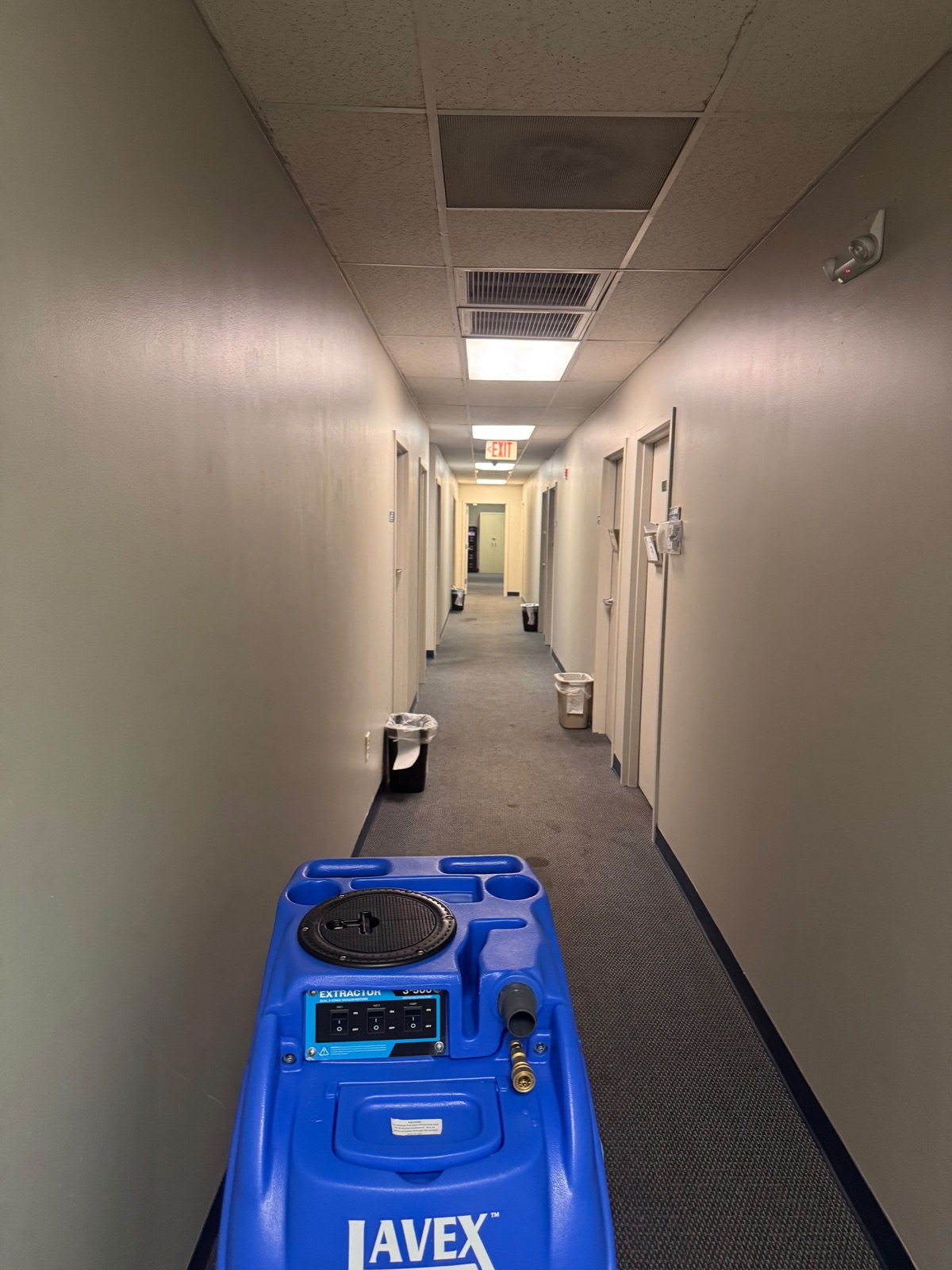 Commercial carpet cleaning in an office hallway