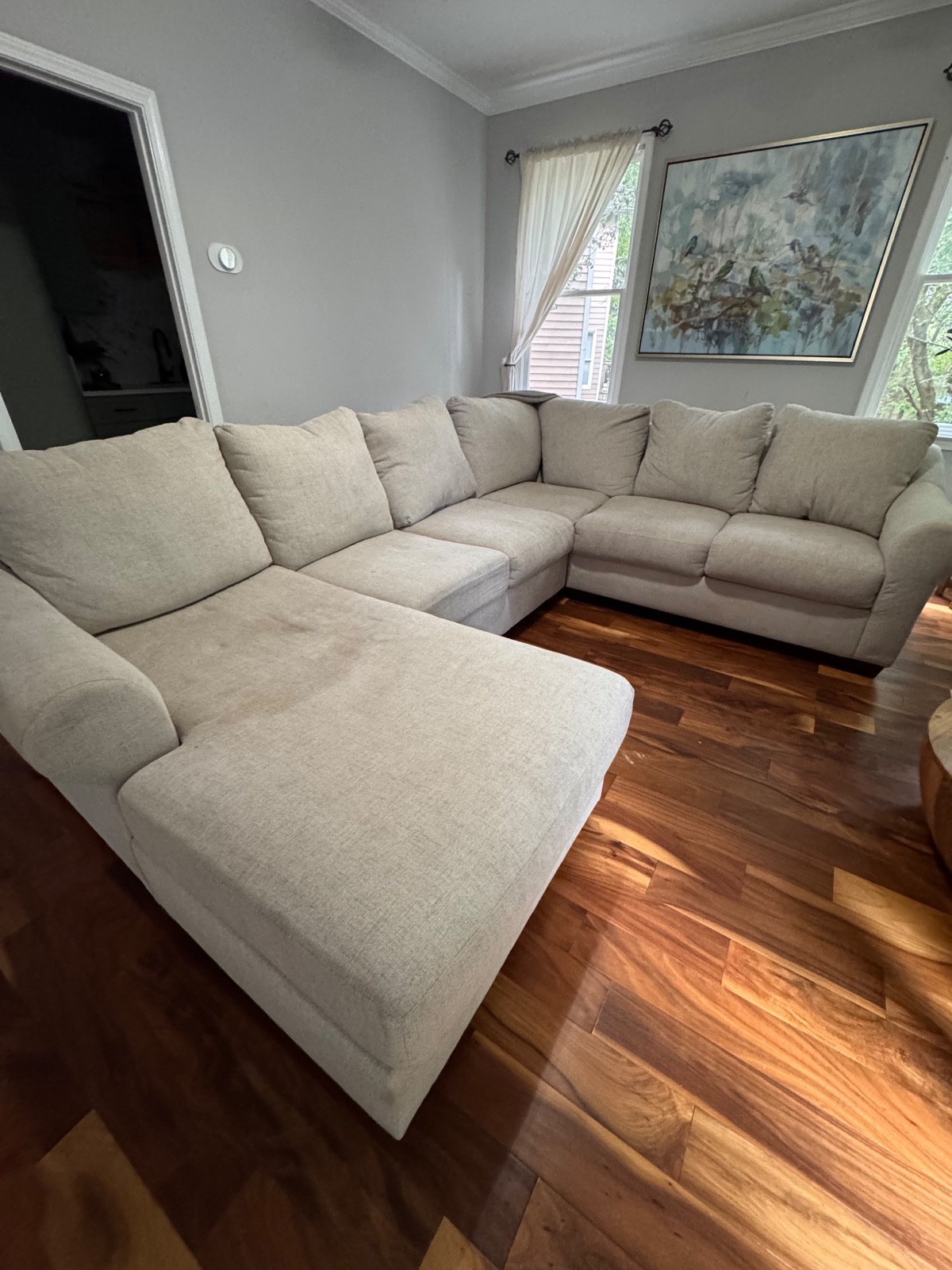 General upholstery cleaning